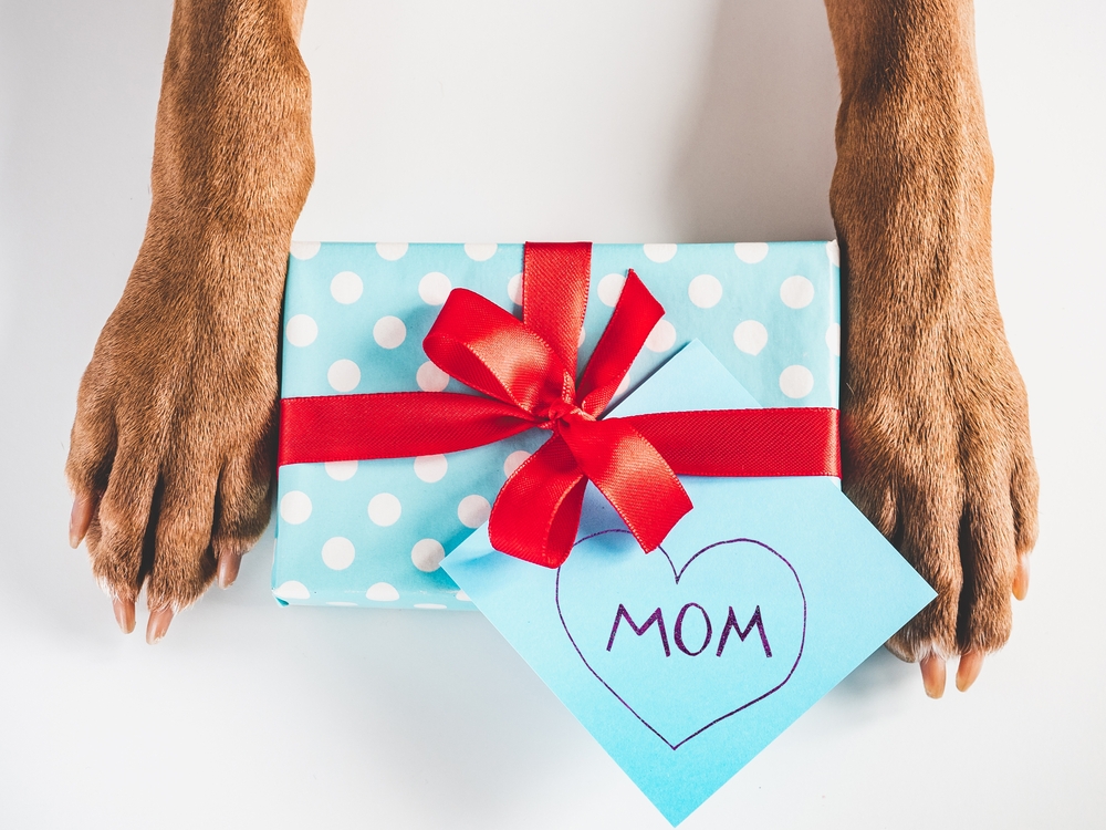 The Best Gifts For Dog Moms