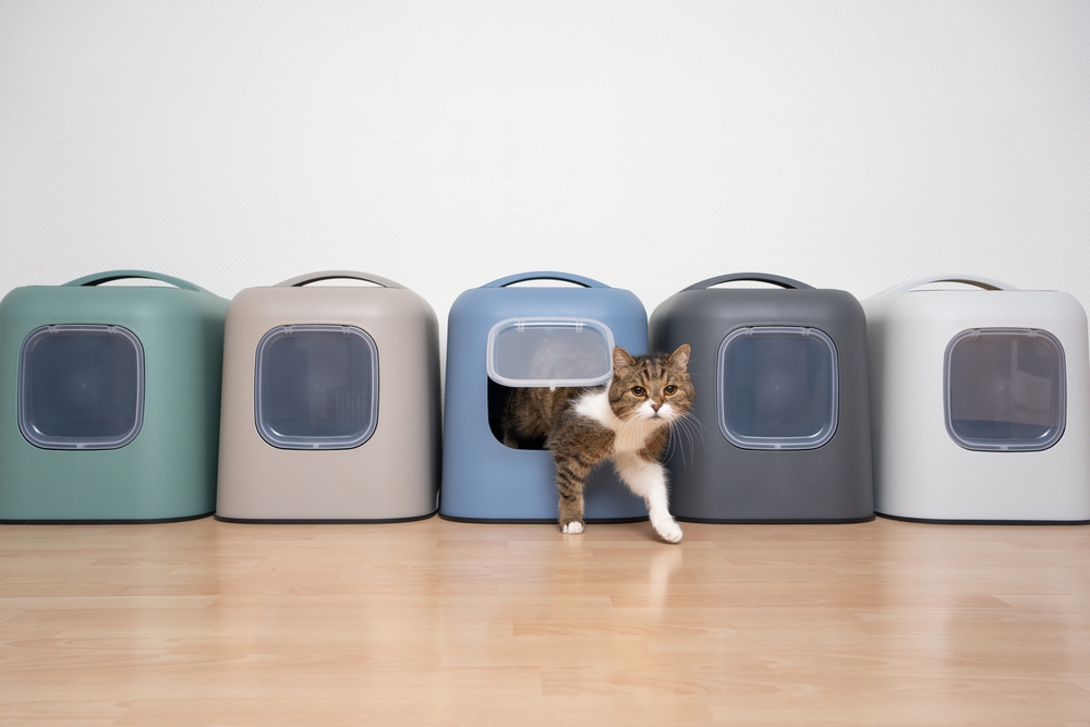 The Best Litter Boxes For Cats