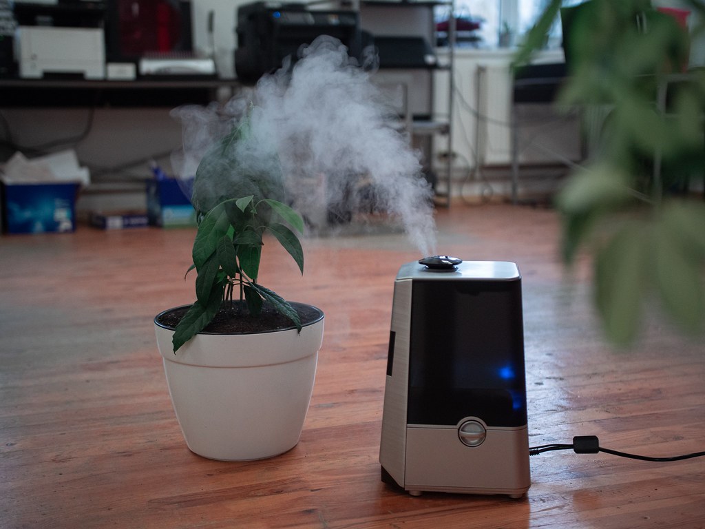 The Best Air Purifiers