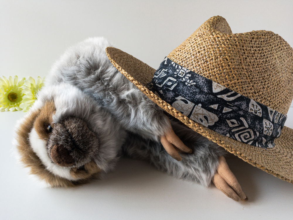 The Best Stuffed Sloths