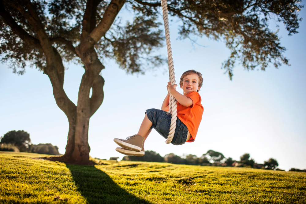 The Best Tree Swing Ropes