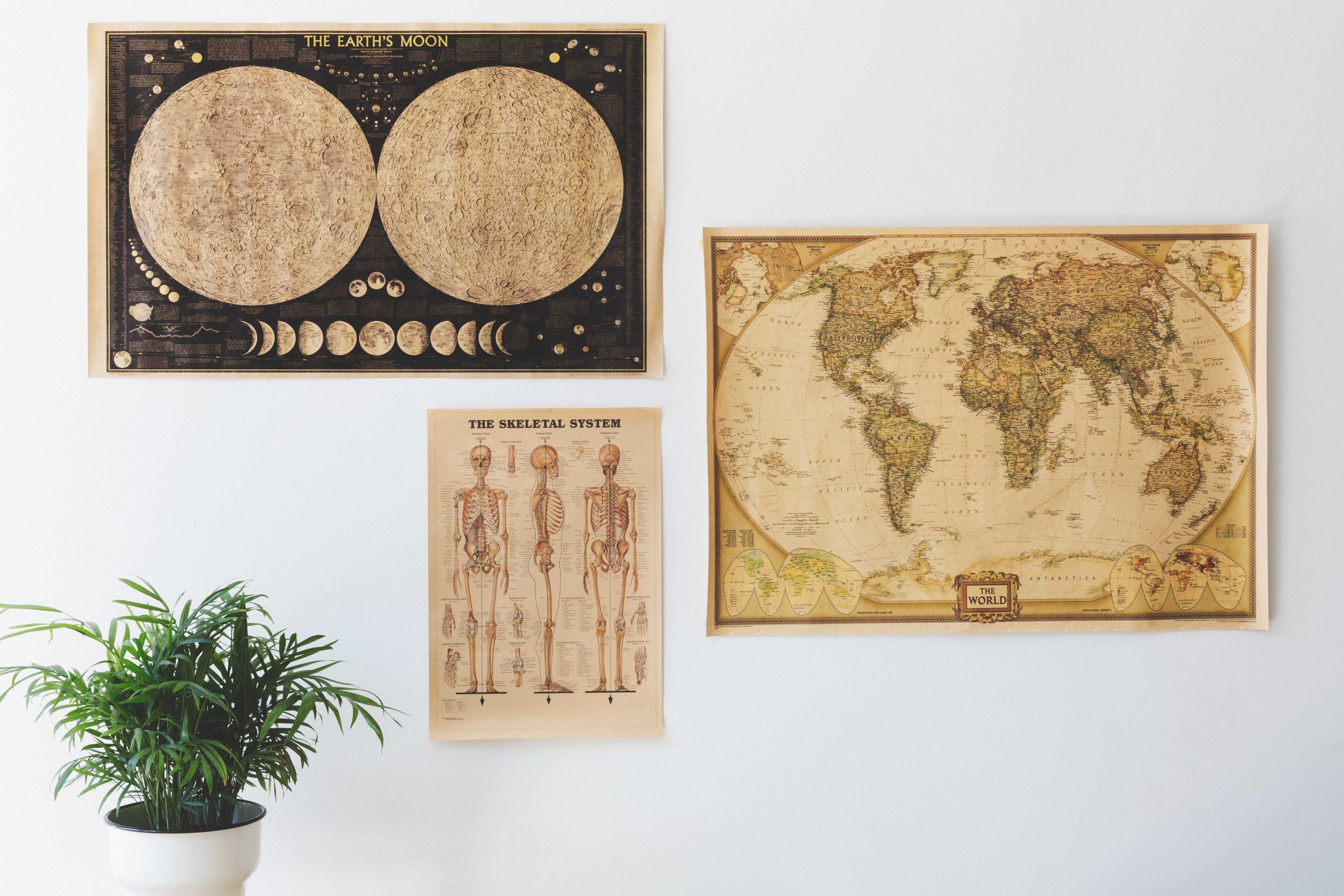 The Best Educational Posters for Kids