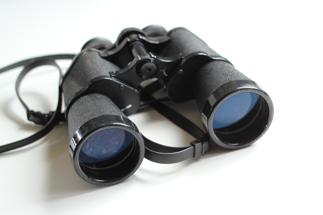 The Best Compact Binoculars for Adults