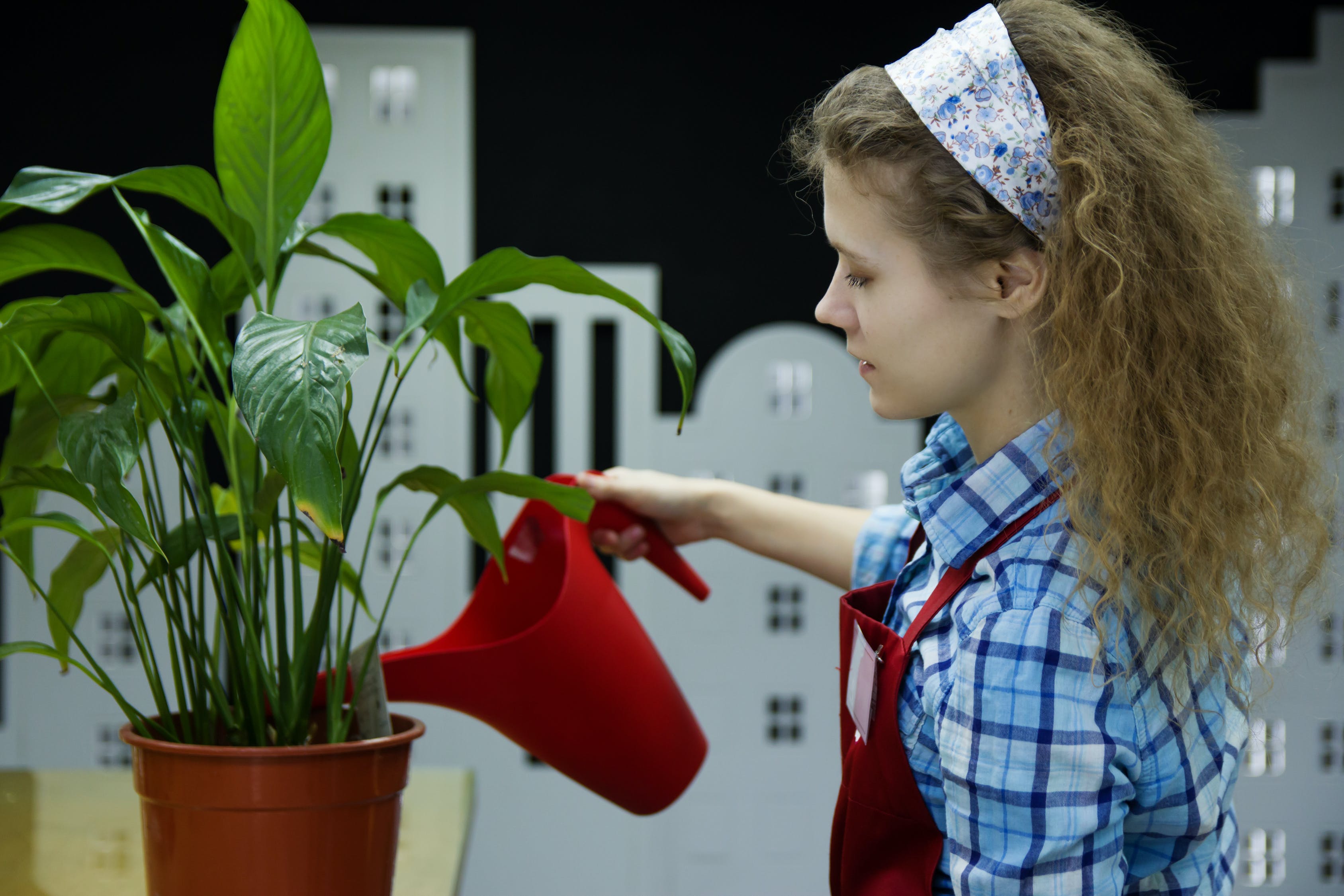 The Best Watering Cans