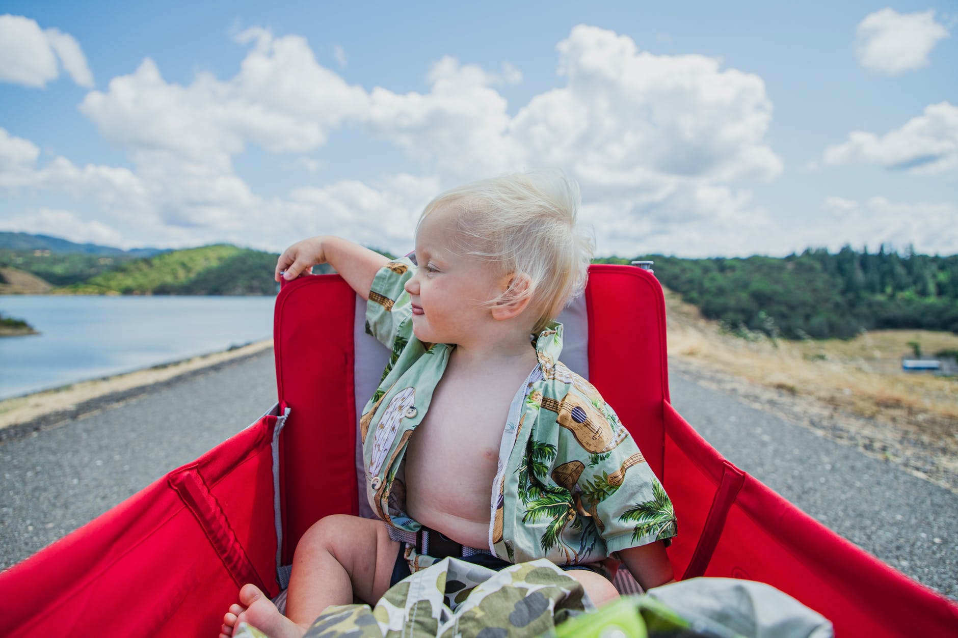 The Best Collapsible Wagons