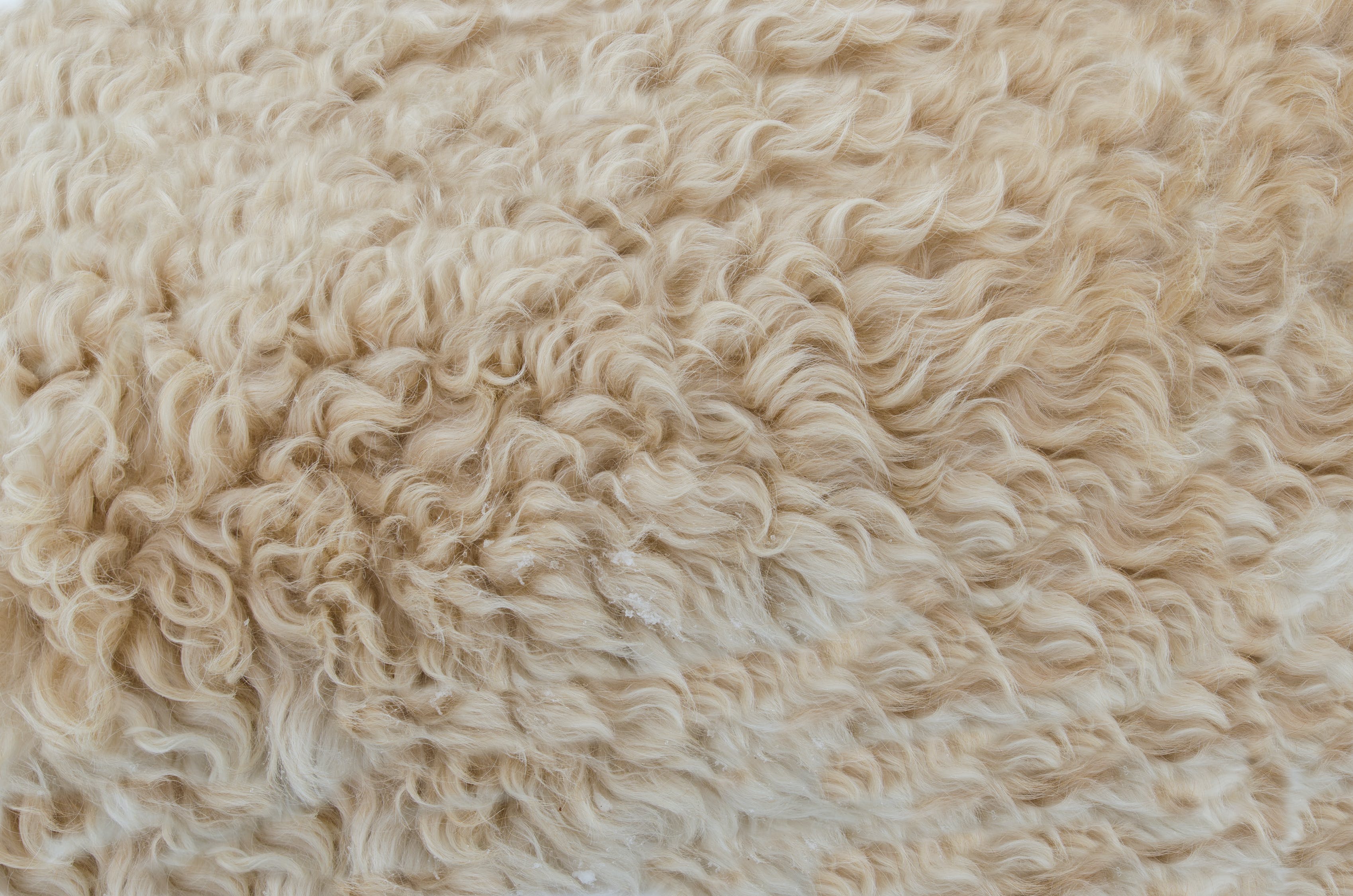 The Best Faux Fur Rugs