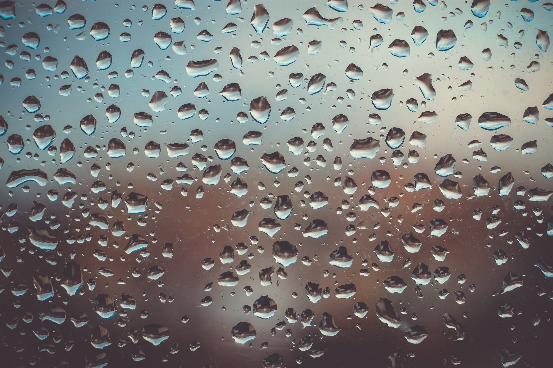 The Best Moisture Absorbers
