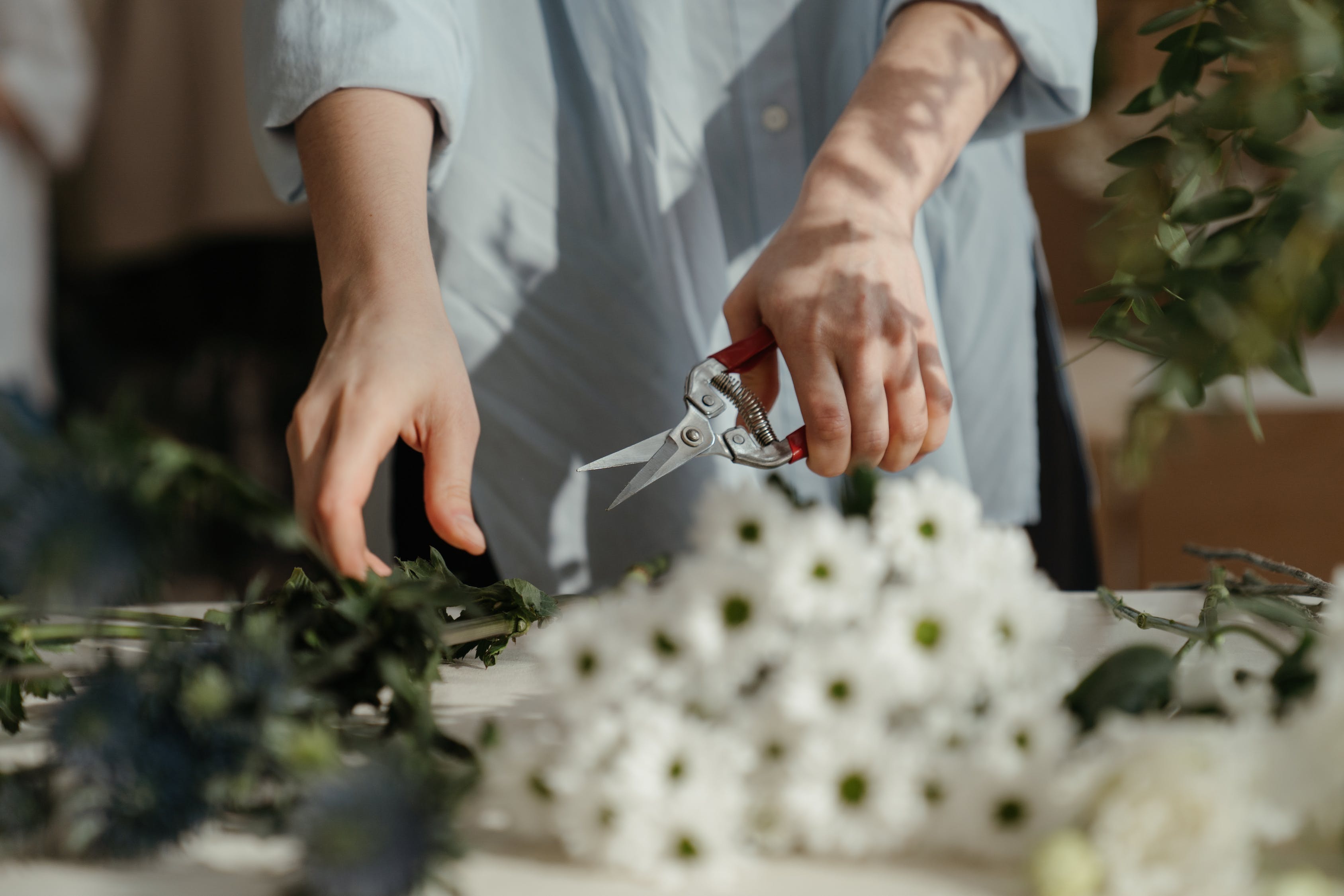 The Best Pruning Shears