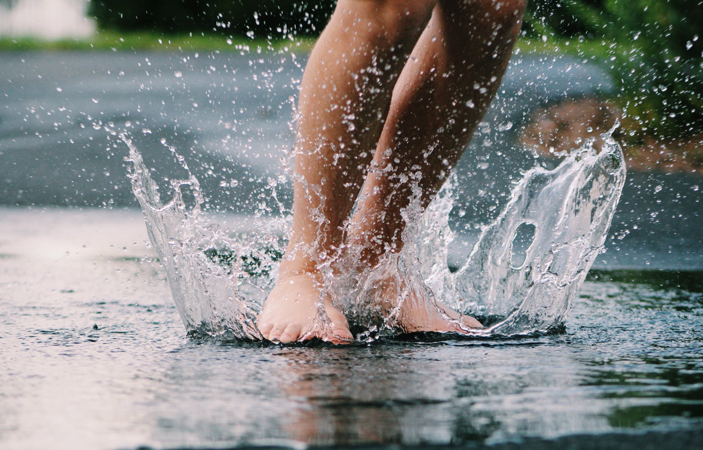 The Best Rain Gauges