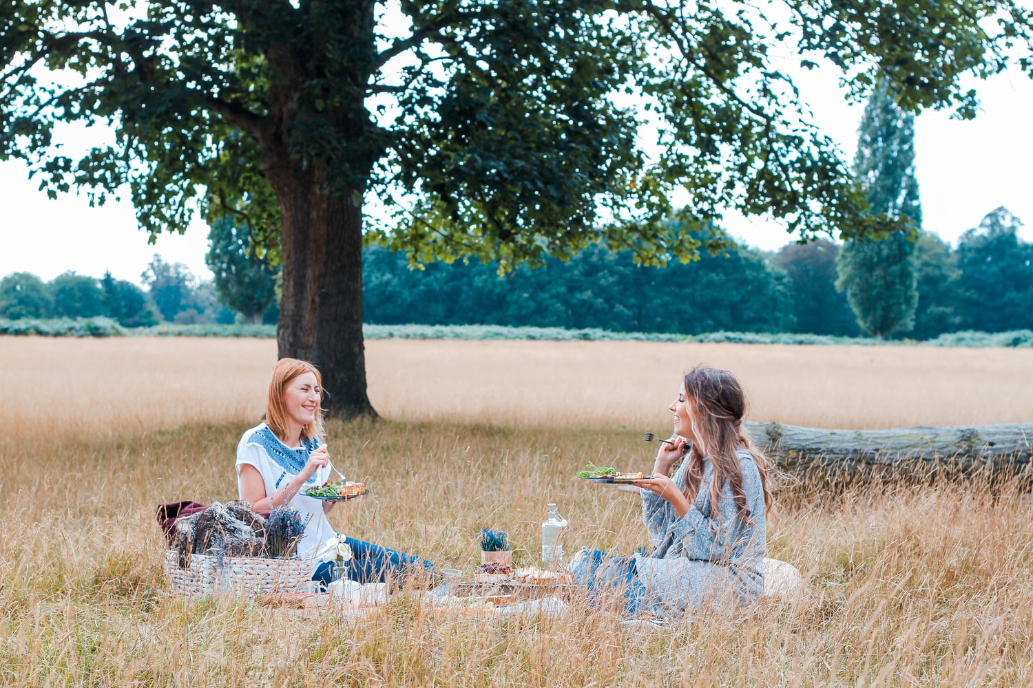 The Best Soft Coolers