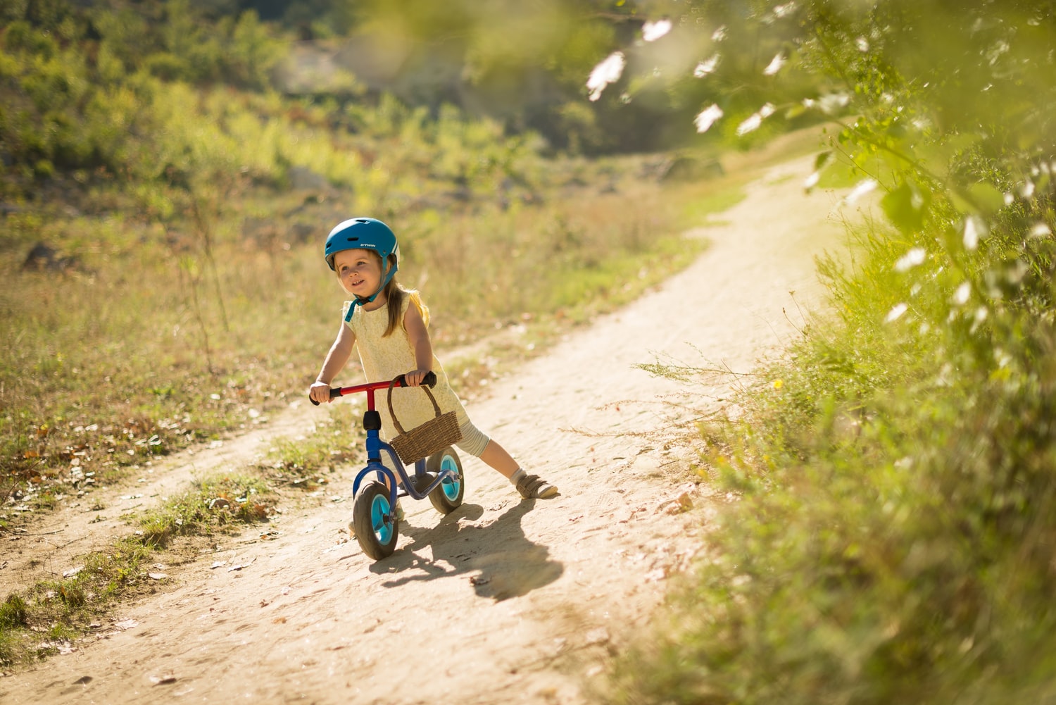 The Best Tricycles for Toddlers