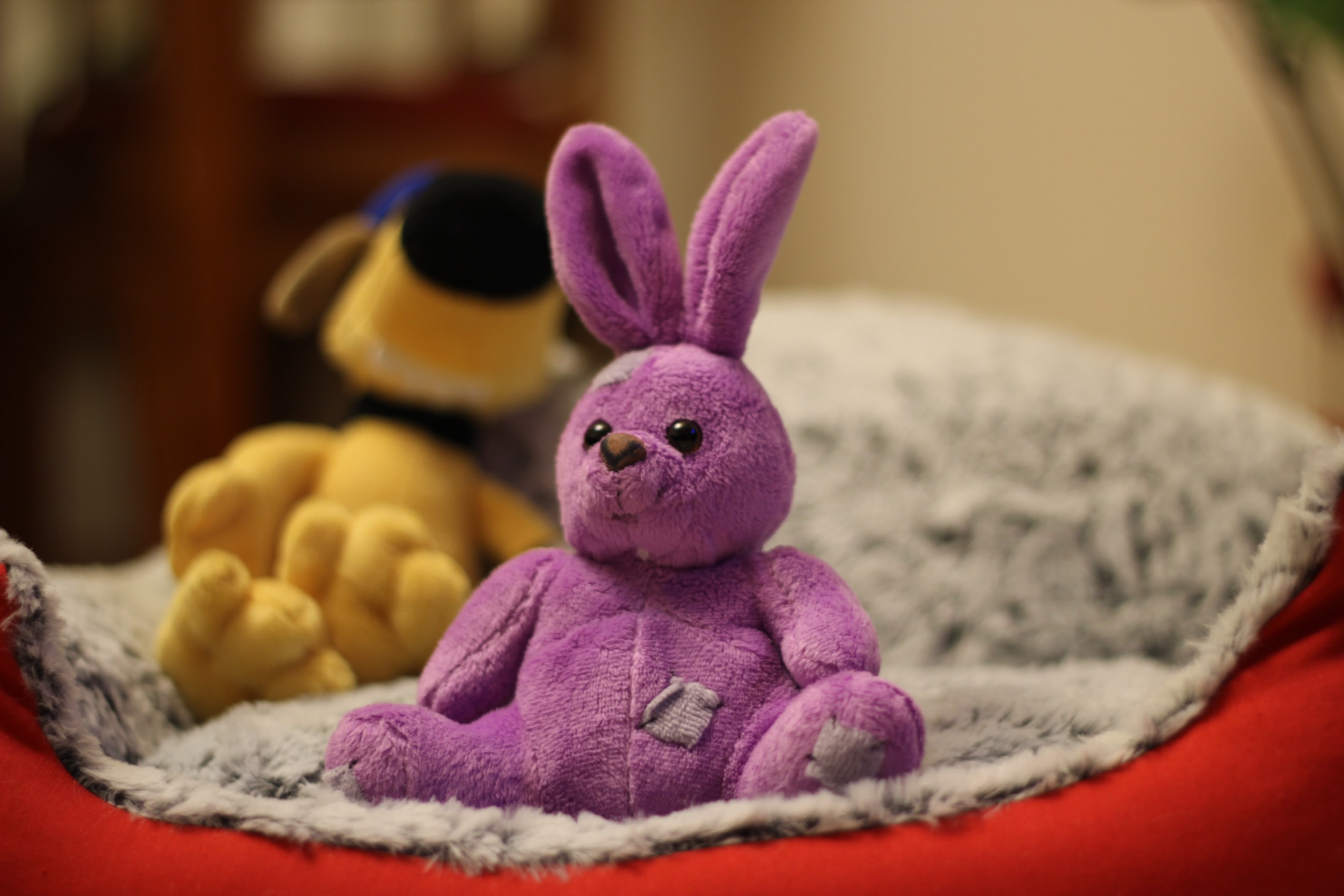 The Best Microwavable Stuffed Animals