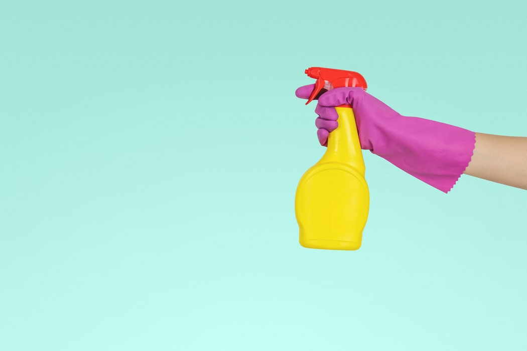 The Best Mold Removers