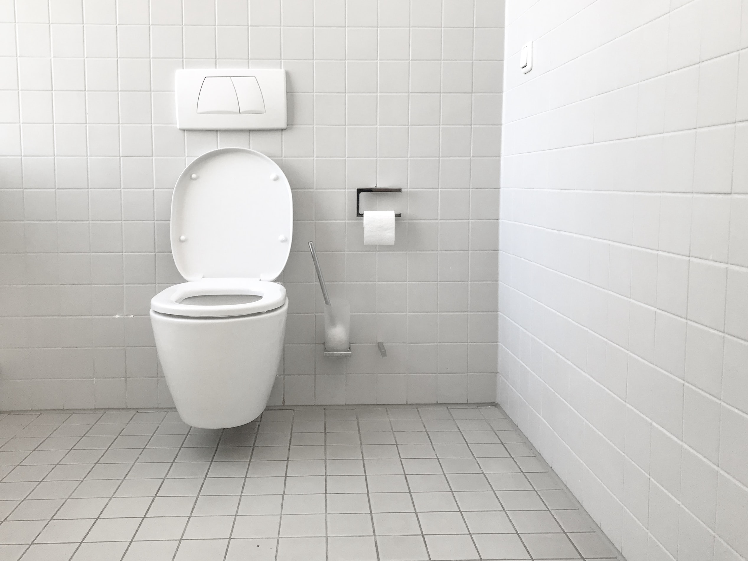 The Best Toilet Bowl Cleaners