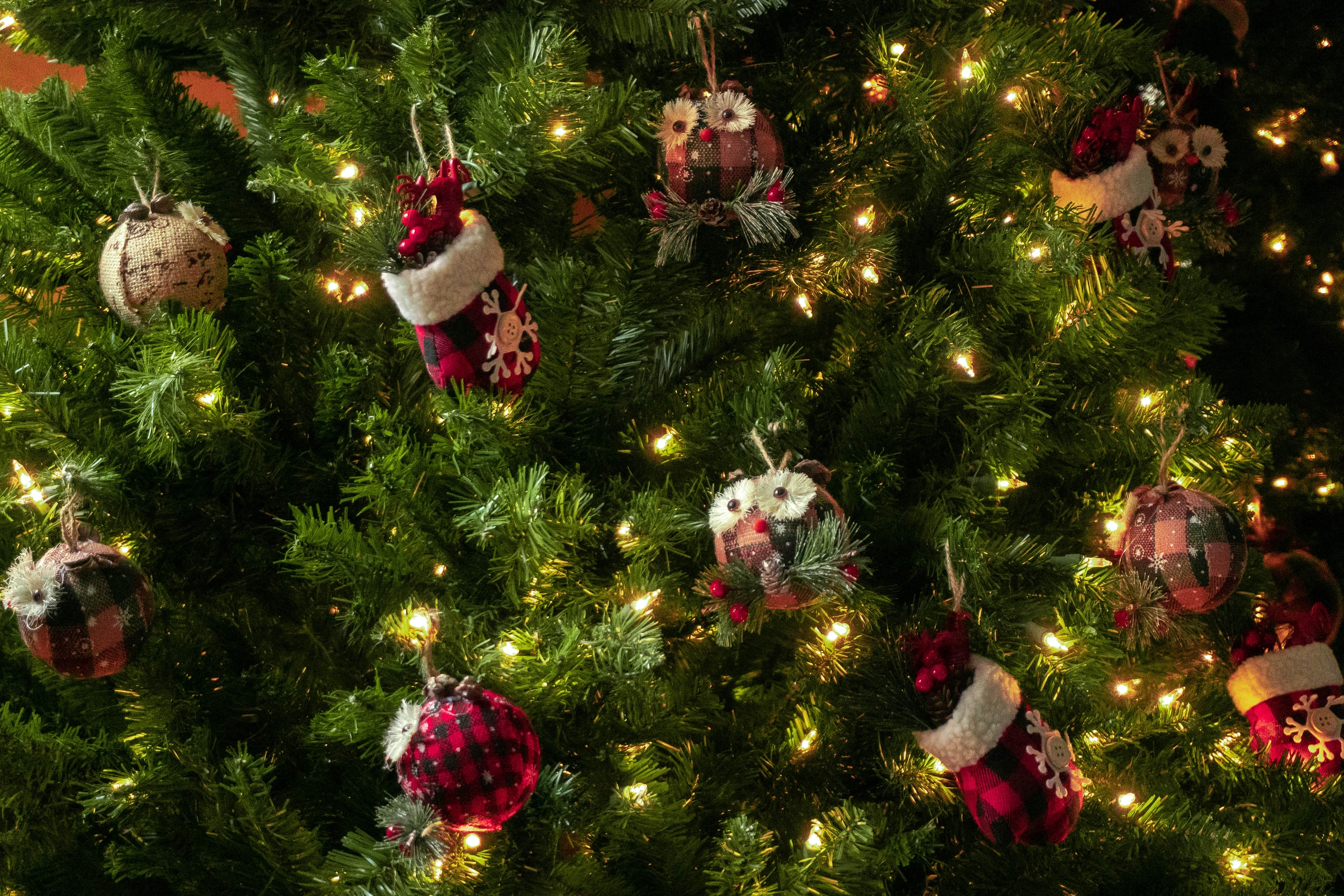The Best Christmas Trees