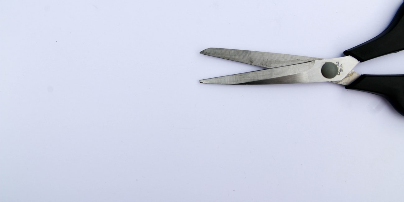 The Best Kitchen Shears