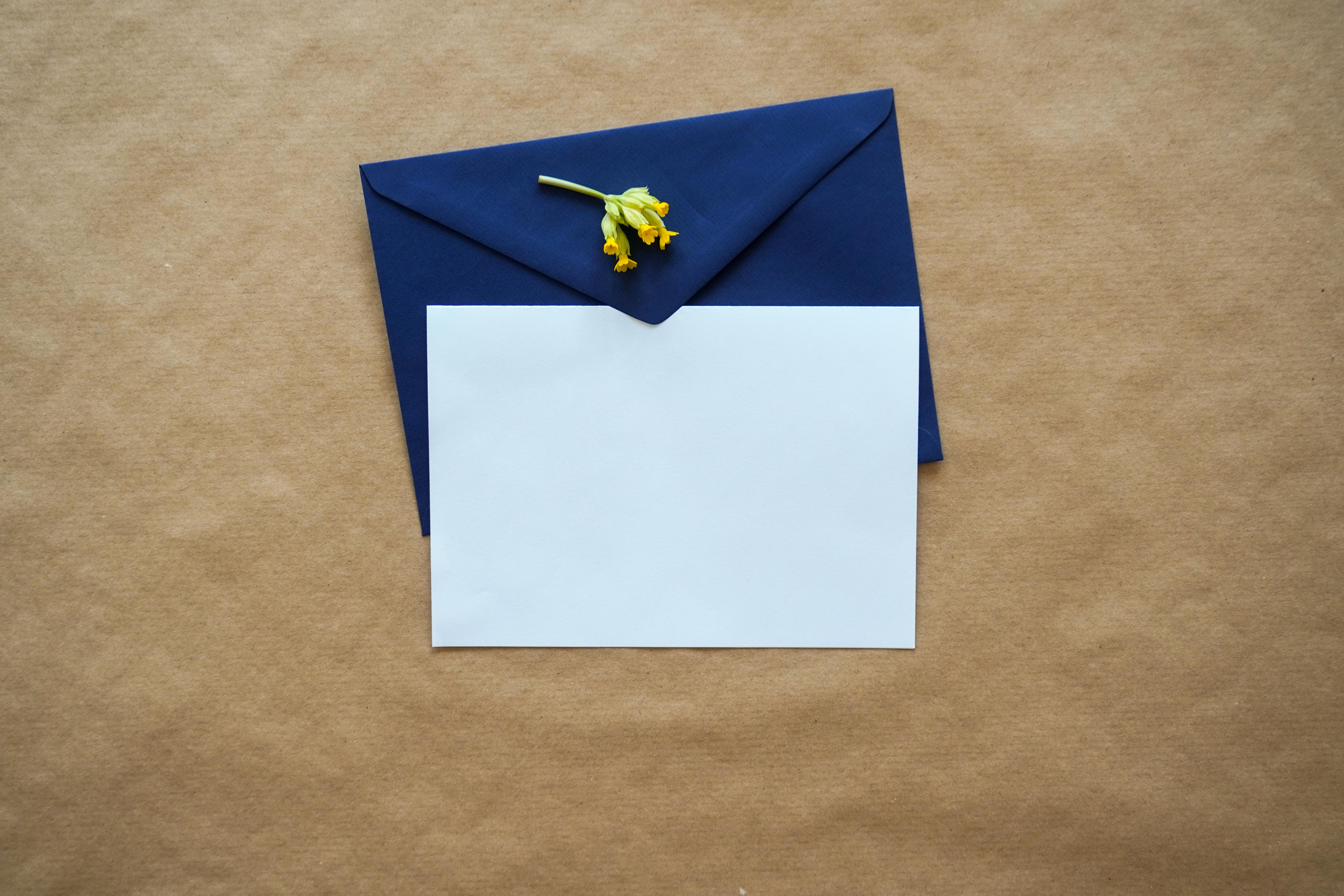 The Best Blank Cards for Any Occasion
