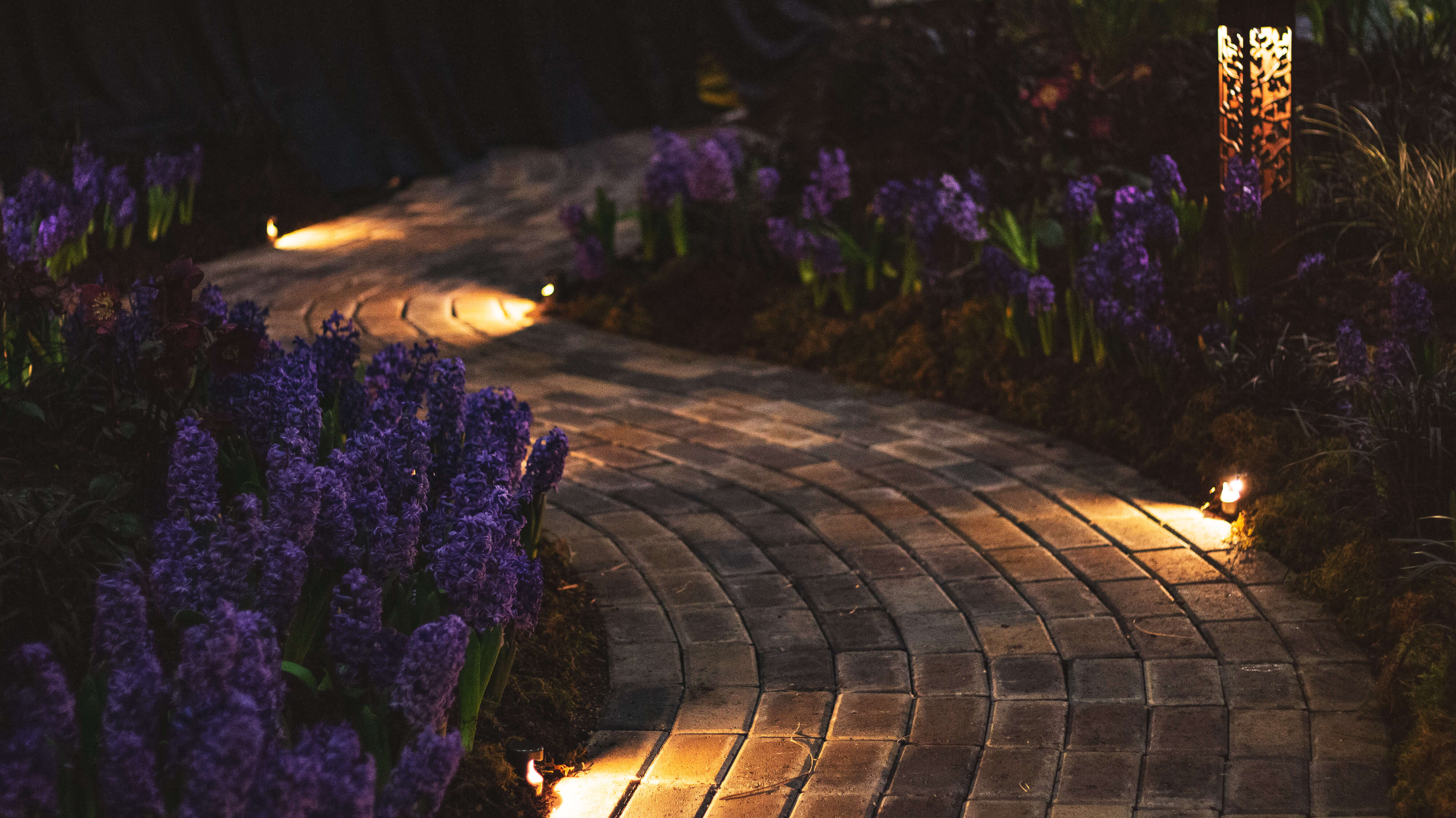 The Best Solar Pathway Lights