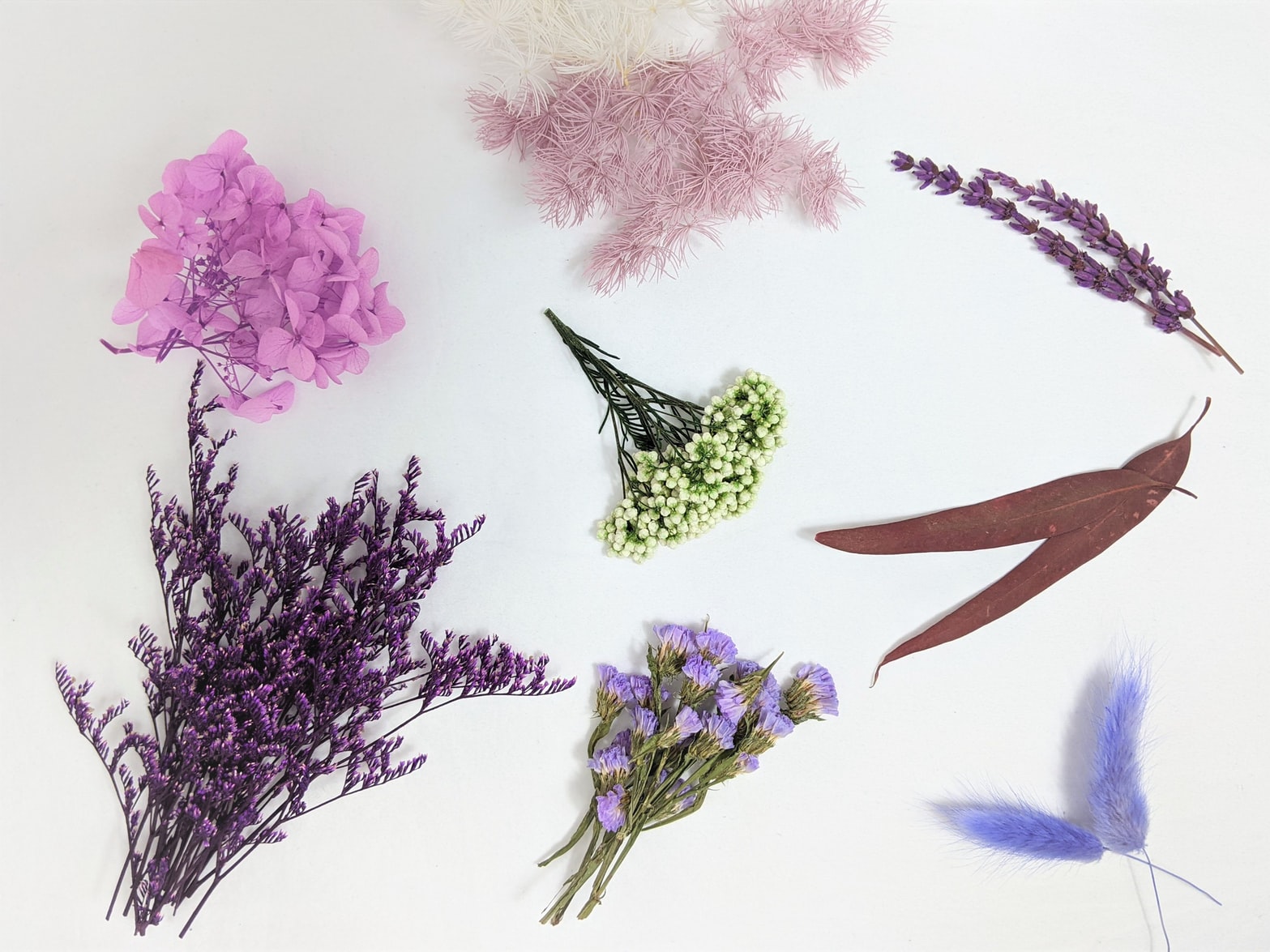 The Best Dried Flowers and Herbs