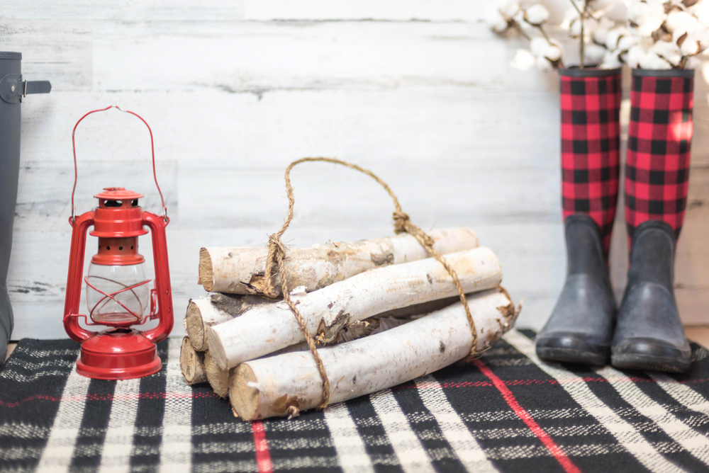 The Best Buffalo Plaid Rugs