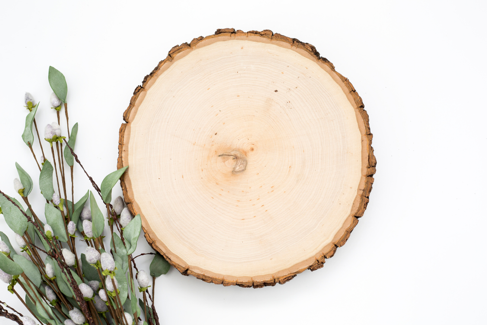 The Best Wood Slices for Arts and Crafts