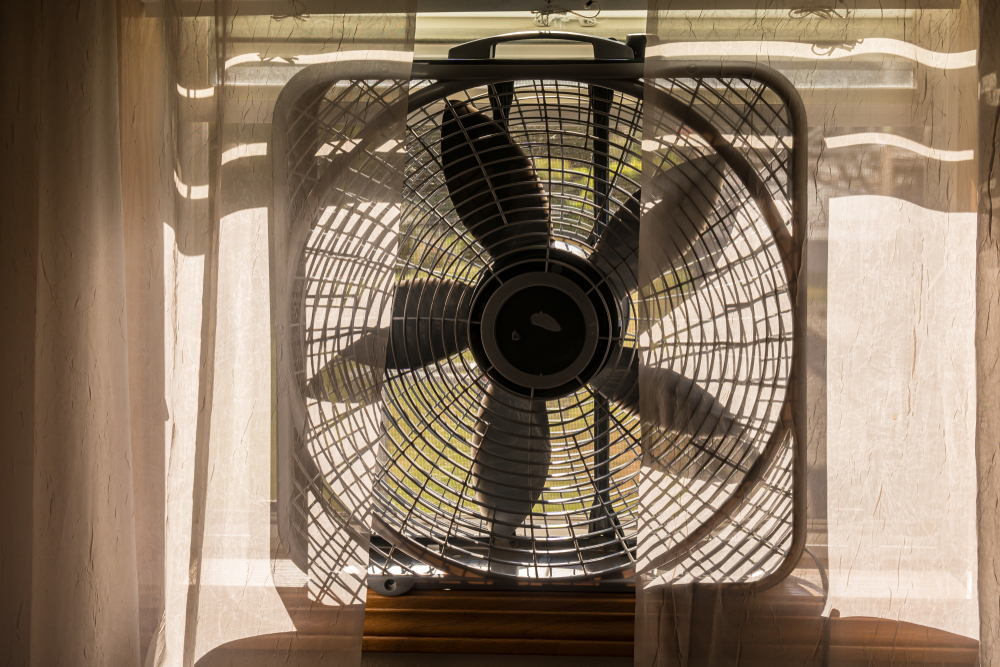 The Best Box Fans