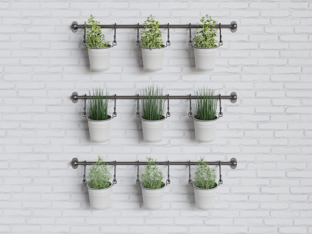 The Best Wall Planters