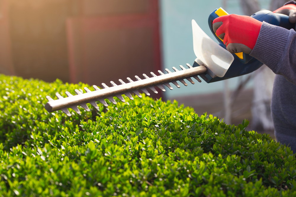 The Best Hedge Trimmers