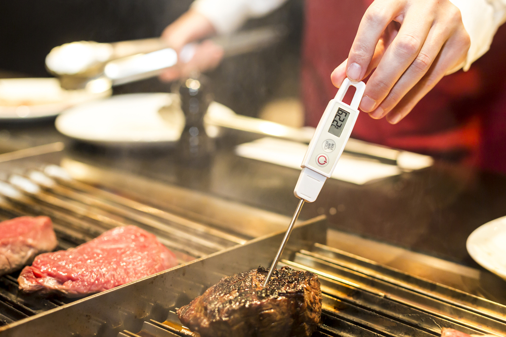The Best Digital Meat Thermometers