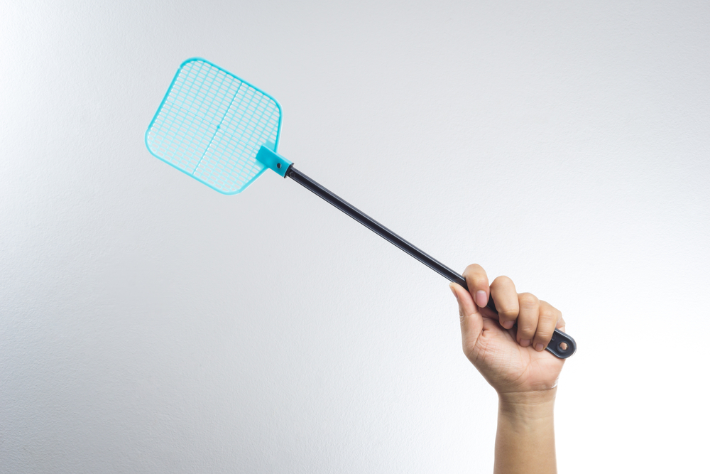 The Best Fly Swatters