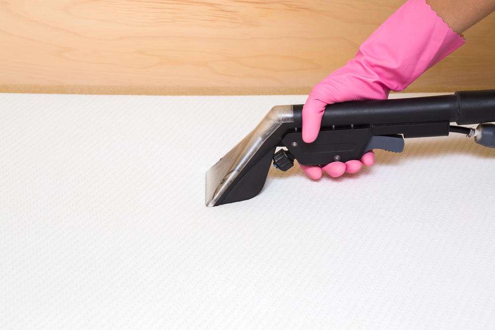 The Best Mattress Cleaner