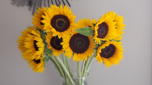 The Best Sunflower Gifts