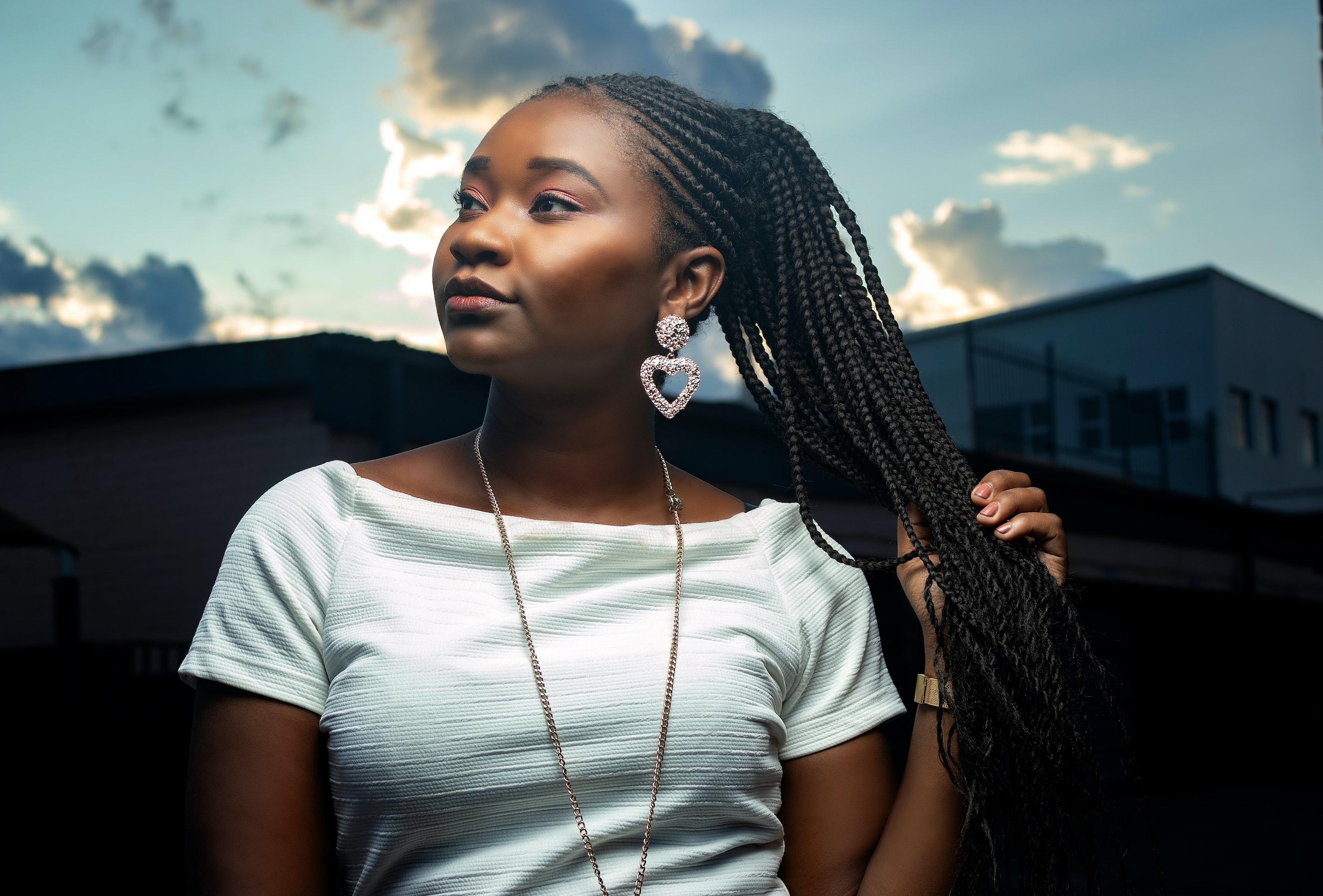 The Best Braided Wigs for Black Women